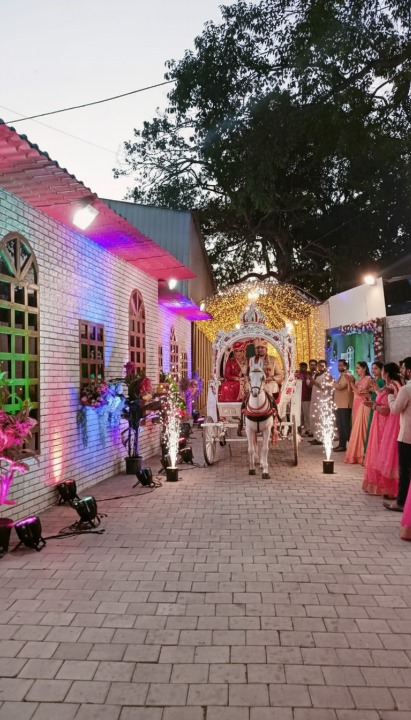 Traditional Rath and decorated Horse (Ghoda)